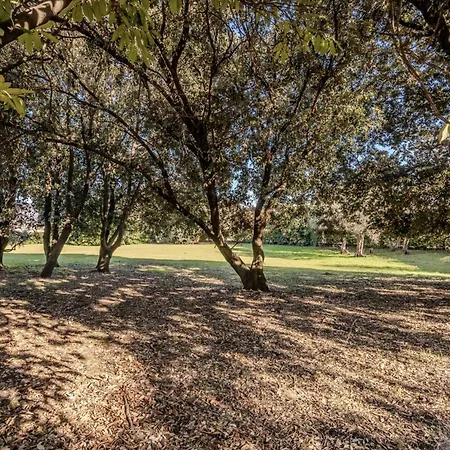 Hotel Hotiday Collection - Sarzana