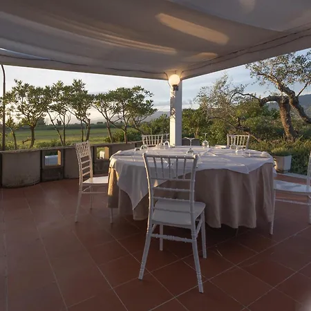 호텔 Hotiday Collection - 4*