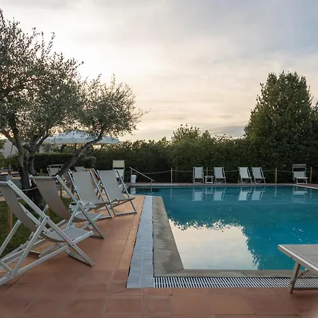 Hotel Hotiday Collection - 4*